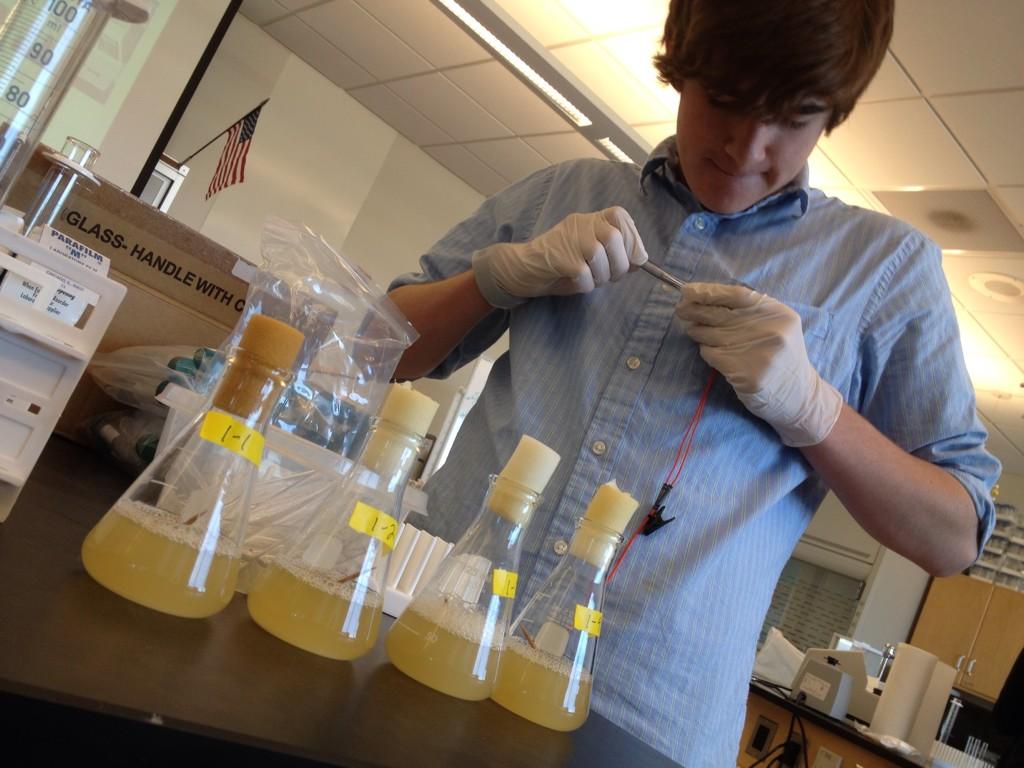 SystemsSally's tweet photo. Eau that Smell! Lookin' good @capsbio: Getting ready to do some #BioBuilding! @SystemsSally @BVCAPS http://t.co/VVdo8Uy1t6