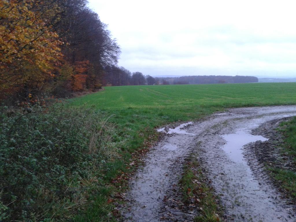chkalle's tweet photo. Ein schöner weg im Urlaub http://t.co/fORaAtMSI2