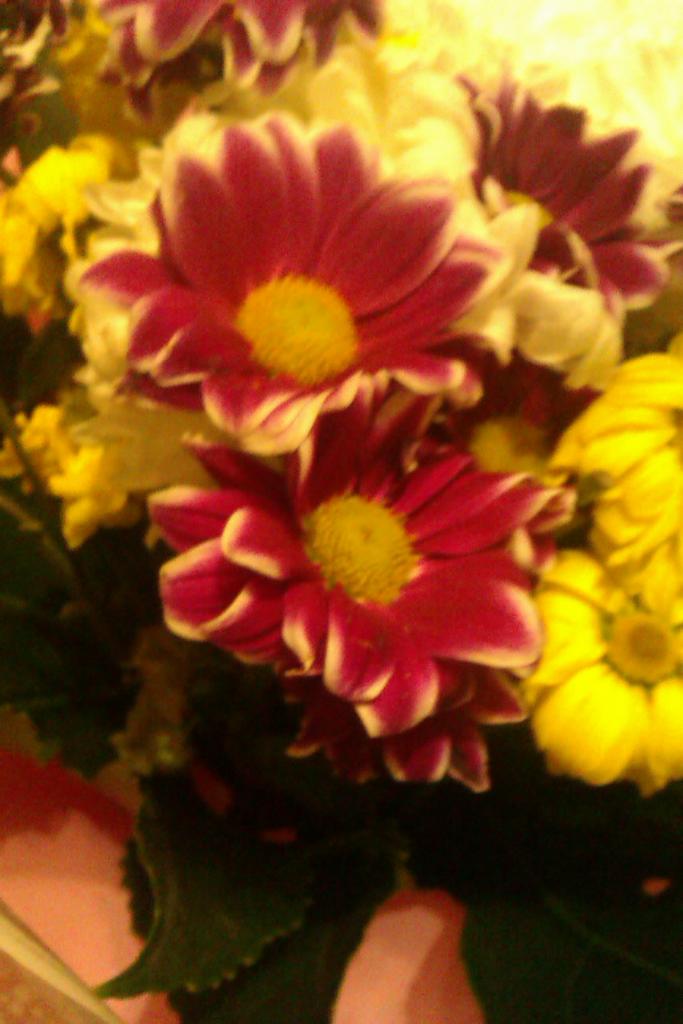 Kscom01 tweet picture