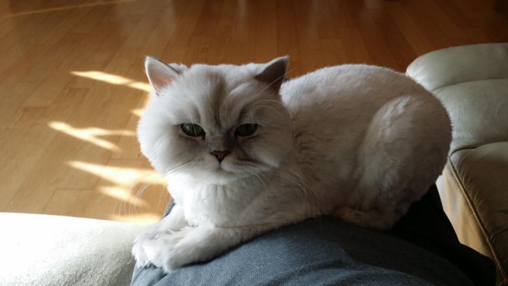 ja_sang's tweet photo. 광희와 사진찍기 놀이 http://t.co/OgfeRXN7sm