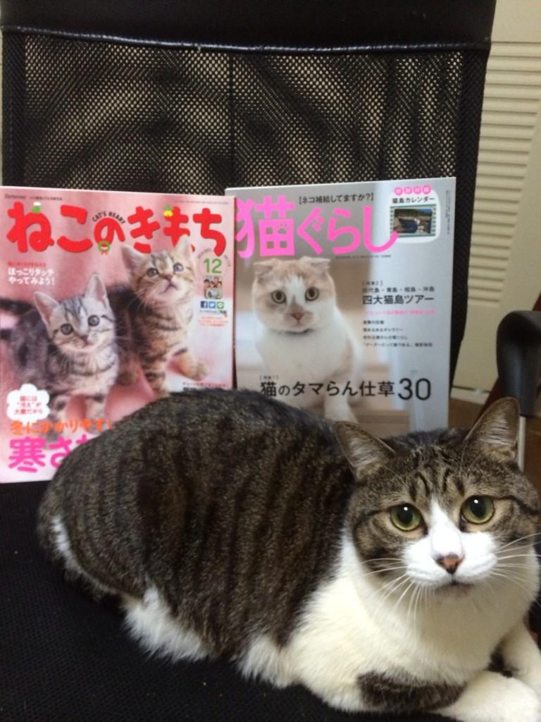 鴻池 剛 発売中の ねこのきもち と 猫ぐらし に取り上げていただきました 猫ぐらしの方はぽんたの写真やインタビューが載っているのですが 僕がフニャフニャ答えていたせいかちゃんと伝わっておらず ぽんたの歳や 仕事情報など違っている部分が 鴻池 剛 発売中の ねこのきもち と 猫ぐらし に取り上げていただきました 猫ぐらしの方はぽんたの写真やインタビューが載っているのですが 僕がフニャフニャ答えていたせいかちゃんと伝わっておらず ぽんたの歳や 仕事情報など違っている部分が