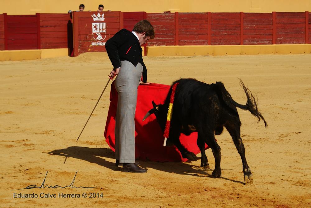 Mrmartinsx's tweet photo. Aquí os dejo algunas fotos más! Gracias a @jedul25 http://t.co/RorZjOdepP