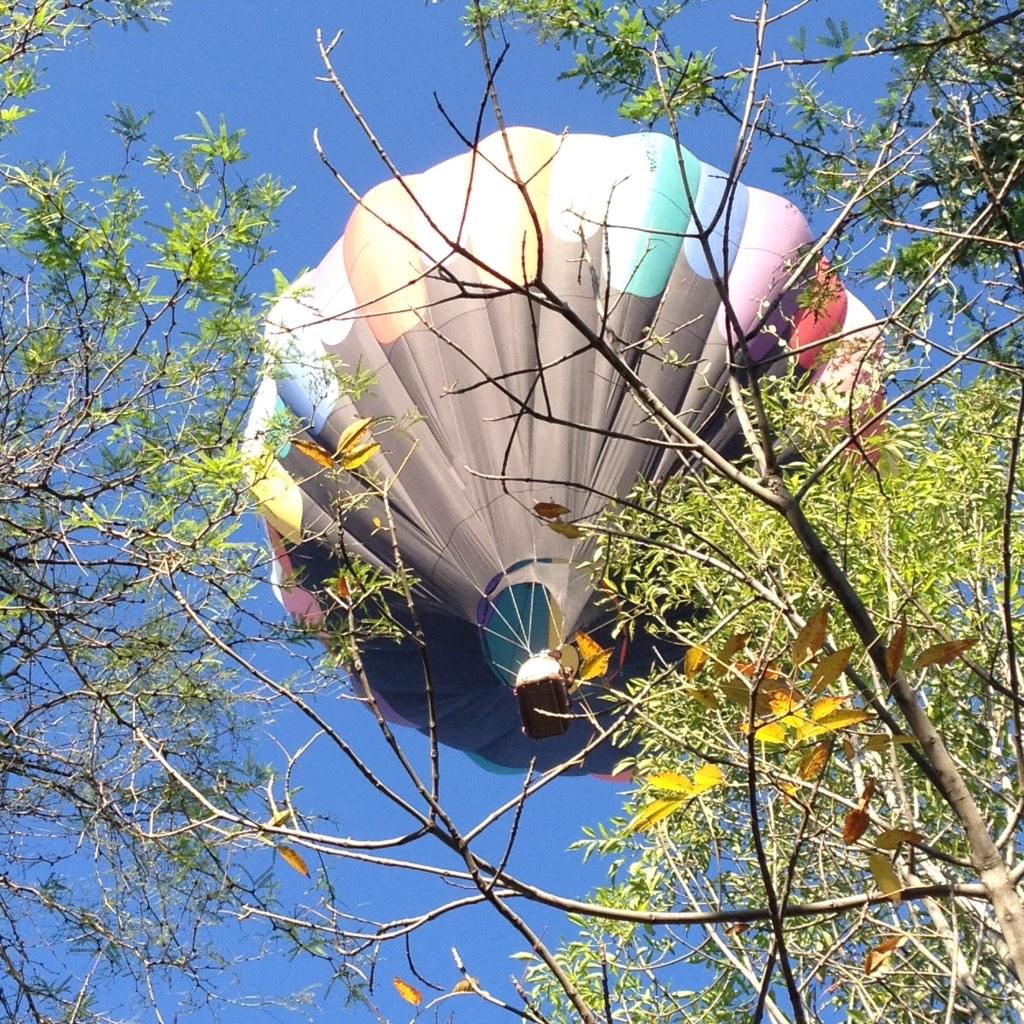 Marcelo Morales tweet media