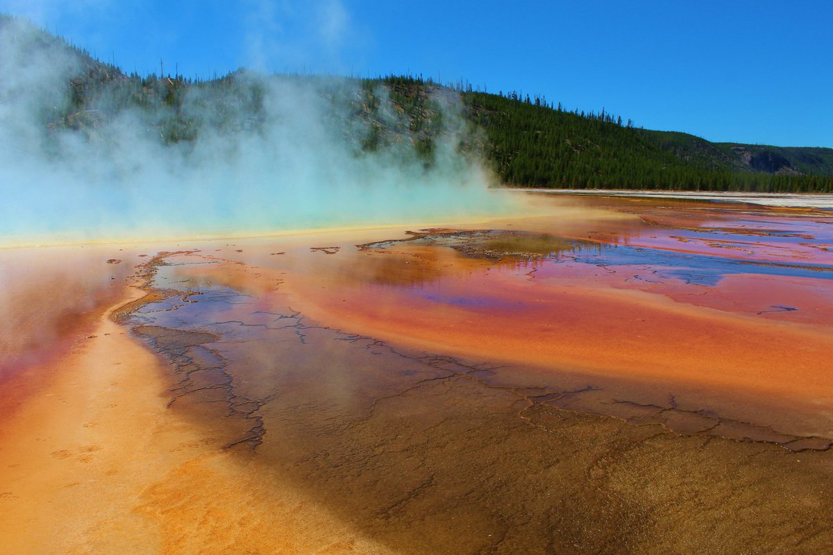NotableHistory's tweet photo. A myriad of colors, Yellowstone NP http://t.co/KaLrqCMFzg