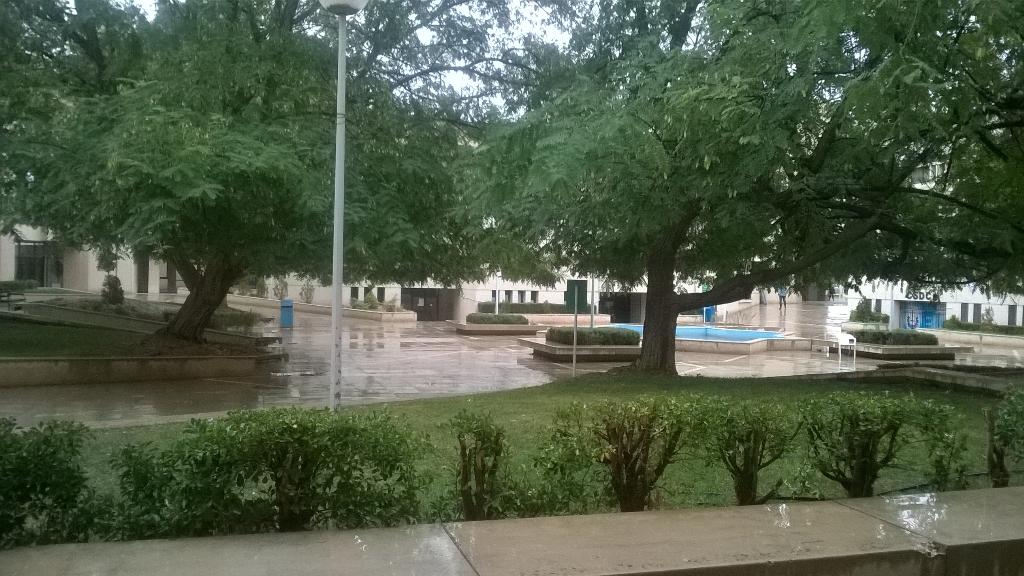 Aseel Al-Rababa'h (@rababah_aseel) | Twitter