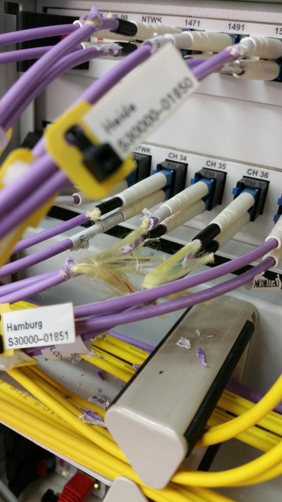 marcnetismus's tweet photo. Aktion, Reaktion #fibercut #whitemice http://t.co/8rSskKUwuK