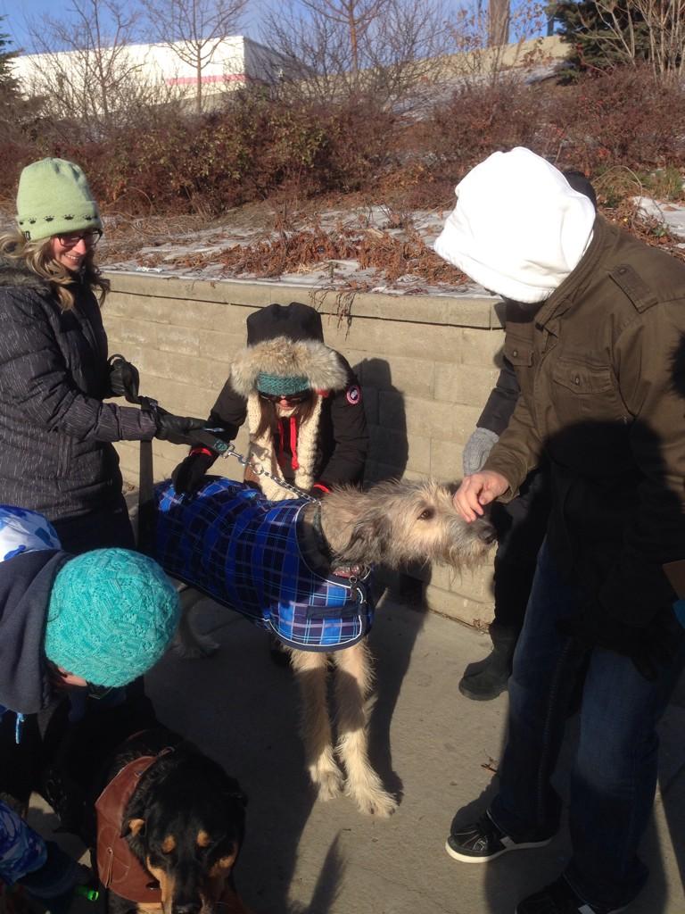 I think the judges have a favorite! <a href="/c95shauna/">Shauna Foster</a> <a href="/c95/">C95</a> <a href="/SheriSaskatoon/">Dyrko Masha</a> <a href="/robc95/">Rob Suski</a> #yxe #santaparade