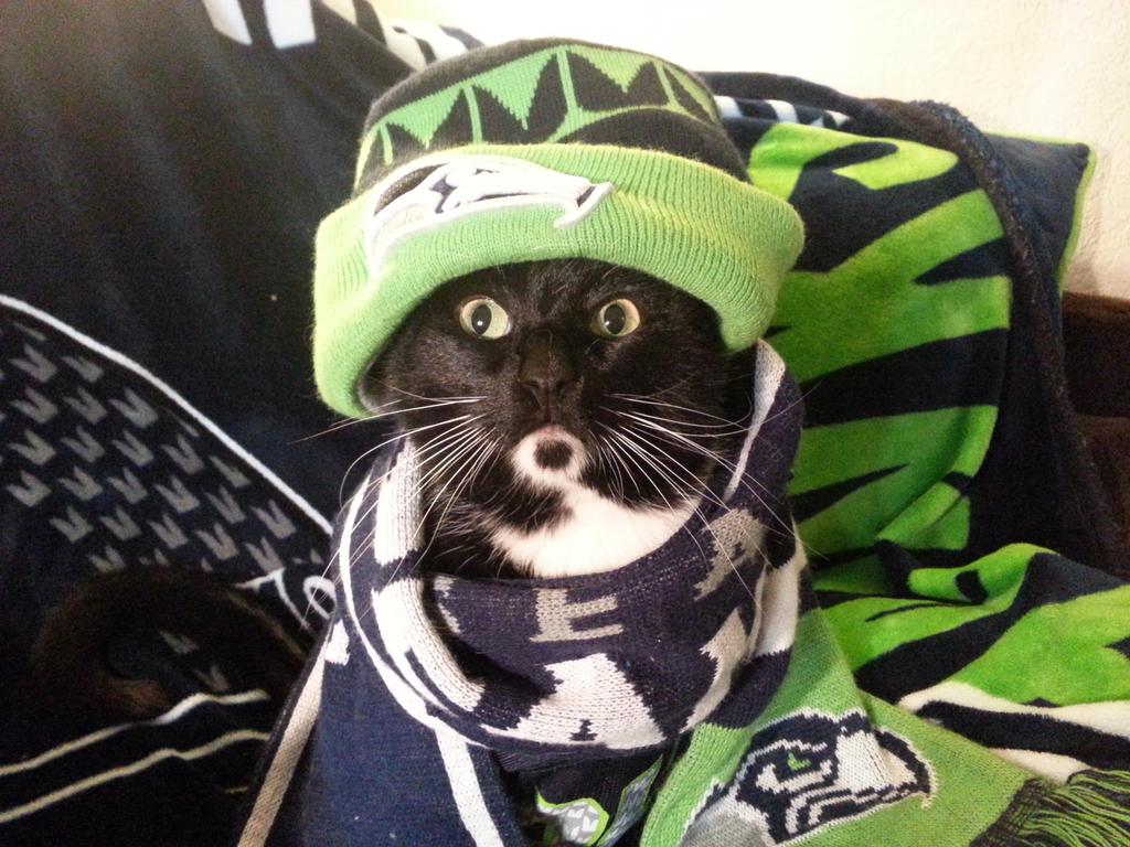 Meowshawn_Lynch's tweet image. Everyone have their Lucky Beanie on? Let's see EM! #SEAnies
#SEAvsKC #GoHawks