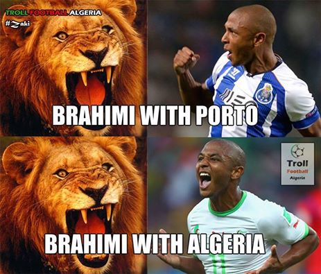 #brahimi