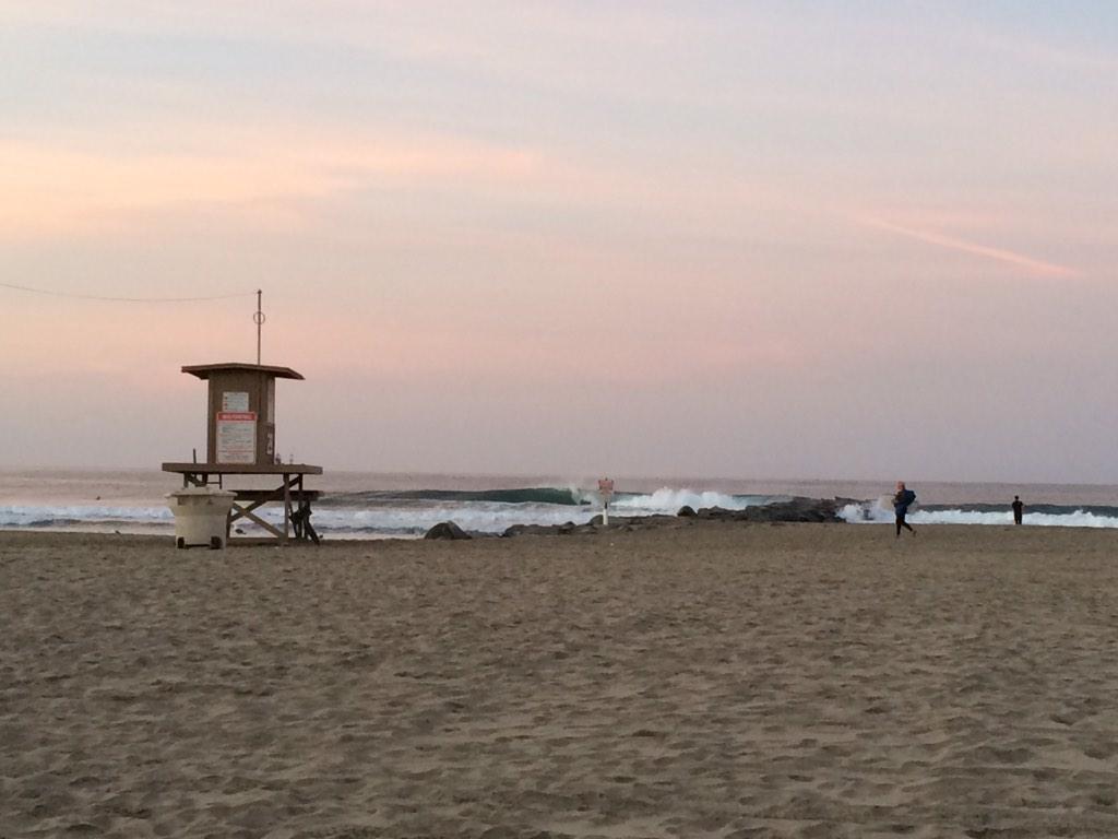 Grant Collins tweet media