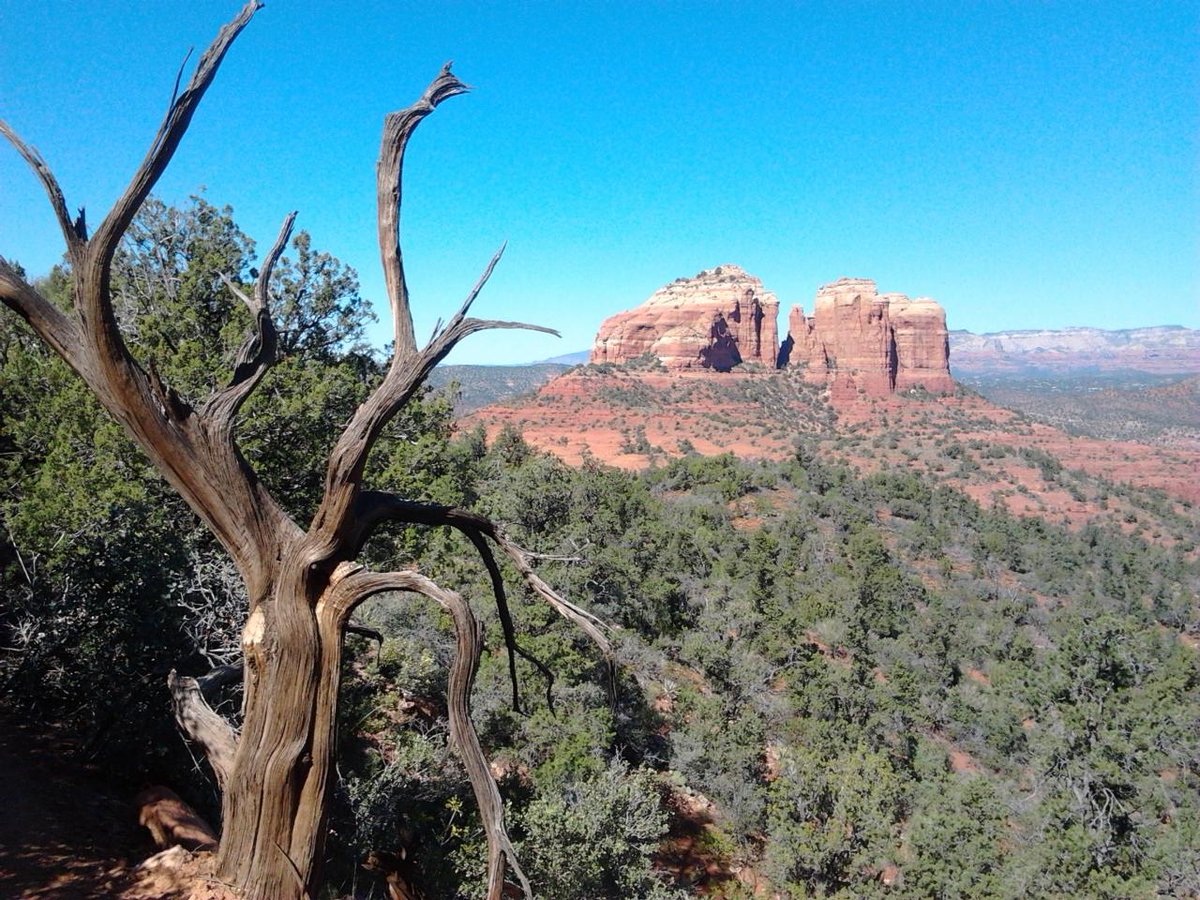 Miki Dzugan tweet media