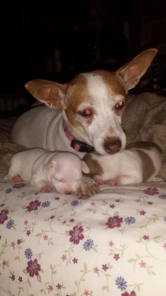 kelliesmiller05's tweet photo. My Maddy's birtjday and Auntie Maddy babysitting. :) http://t.co/4EoDo1T5LU