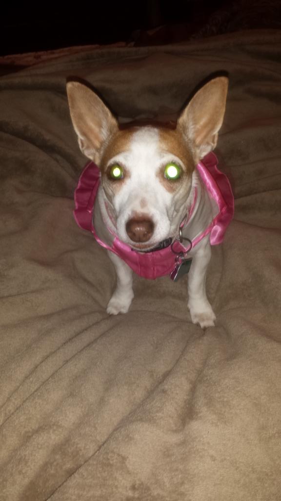 kelliesmiller05's tweet photo. My Maddy's birtjday and Auntie Maddy babysitting. :) http://t.co/4EoDo1T5LU