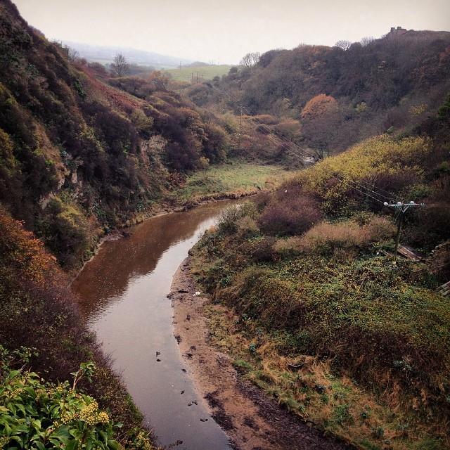 @staith_es by mark_cliff #staithes #whitby #river #valley #trees #capturingbritain_nature #nature #iphonephotogra...