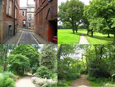 agnes_vdberg's tweet photo. Verzorgd of weelderig groen heeft zelfde effect op stress @Tuinenlandschap @KDorrestijn http://t.co/lSEKnZRPt3 http://t.co/lUPUaufzUc