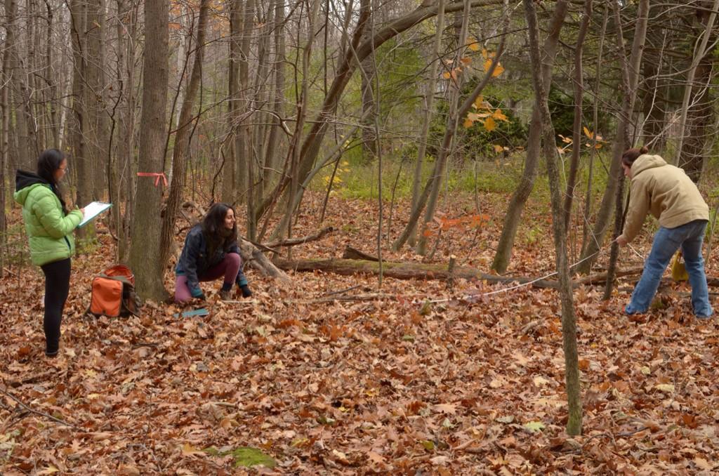 MacButternut's tweet photo. Wondering what we've been doing in the arboretum? Find out tomorow in our blog post! #ENVB222 http://t.co/EvE1Pa60CO