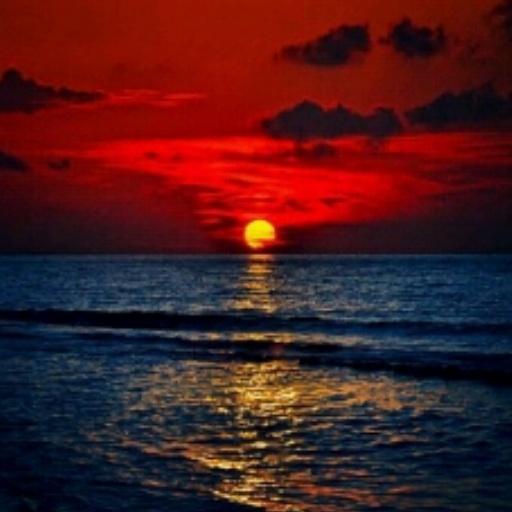 awesome_color's tweet photo. Que tal 
 instagram: http://t.co/sGcILMAg8T -ツ http://t.co/OYY7rX5A6f