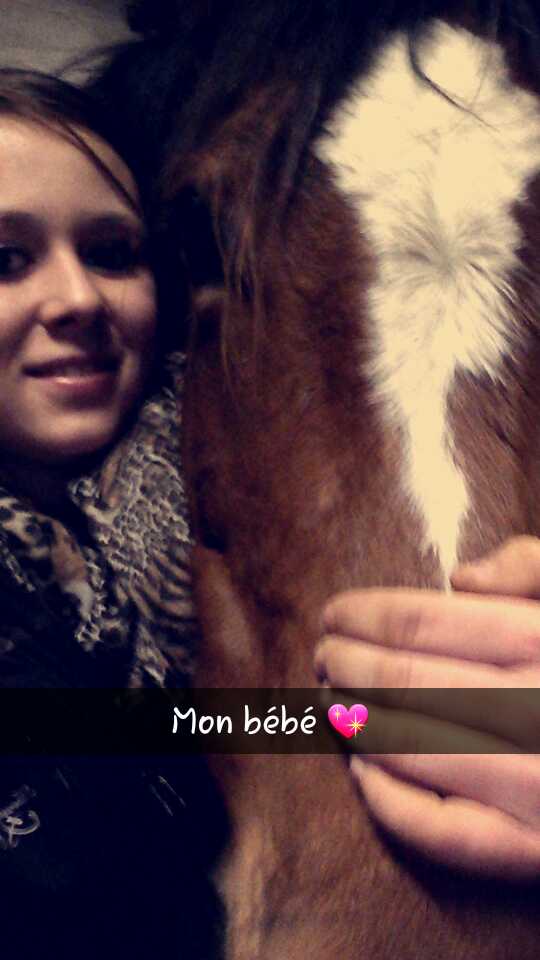 ManonDiff9's tweet image. Bien plus que jument: ma vie 
Merci d&apos;être là ❤