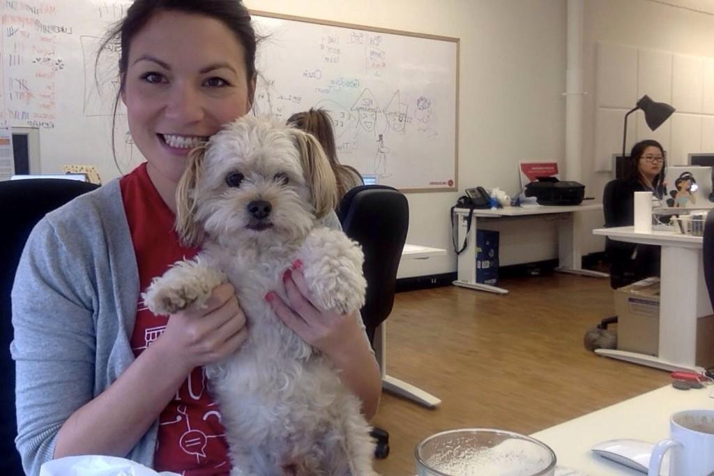 EmTantau's tweet photo. @unleashedteam Melbourne office Wookiee #cute #melbourne #StartupLife http://t.co/TTc5jukjIT