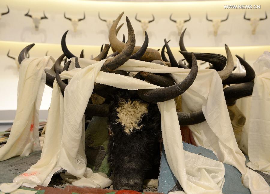 tibetol's tweet photo. Yak Museum of Tibet opens to the public http://t.co/skCXKalJV1 http://t.co/oNWHtfwkZf