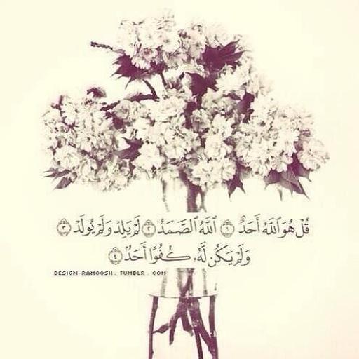 7rf__44 tweet picture