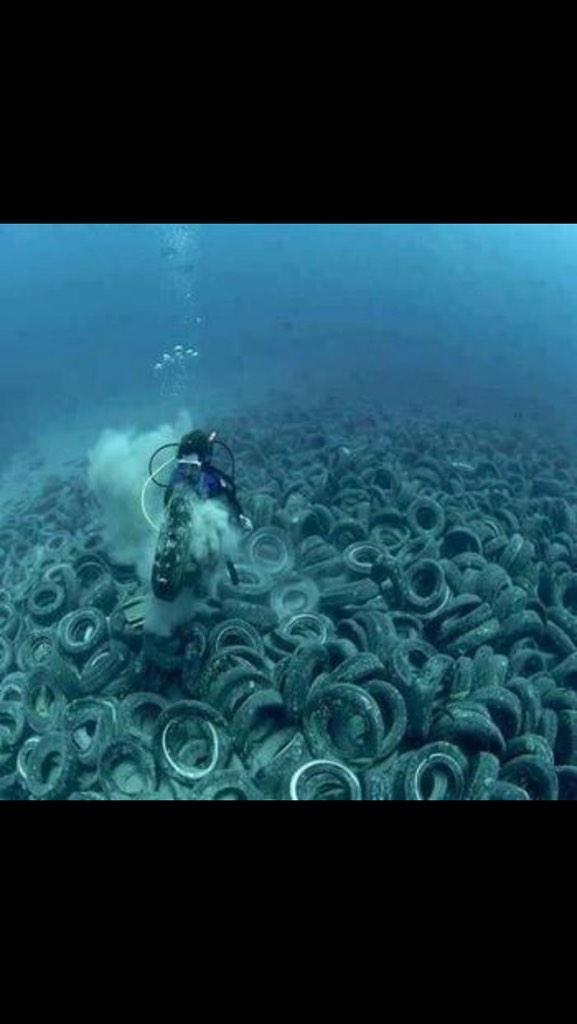 PasionVive's tweet photo. Cuidemos nuestros Oceanos. http://t.co/OZHk0NCFCP