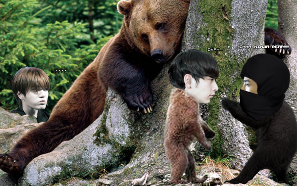 Sungjong_Fa's tweet photo. Pcq on m'a dit qu'il y avait un ours ninja dans les parages…
😲😂😂 @Chansung_Fa @Taecyeon_Fa #Boredomisarealproblem http://t.co/zrMwfUxx65