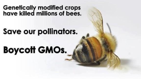 WHATARADWORLD's tweet photo. If bees become extinct we will have exactly 4 YEARS to live on this planet. #savethebees http://t.co/YwgHZGx4J8
