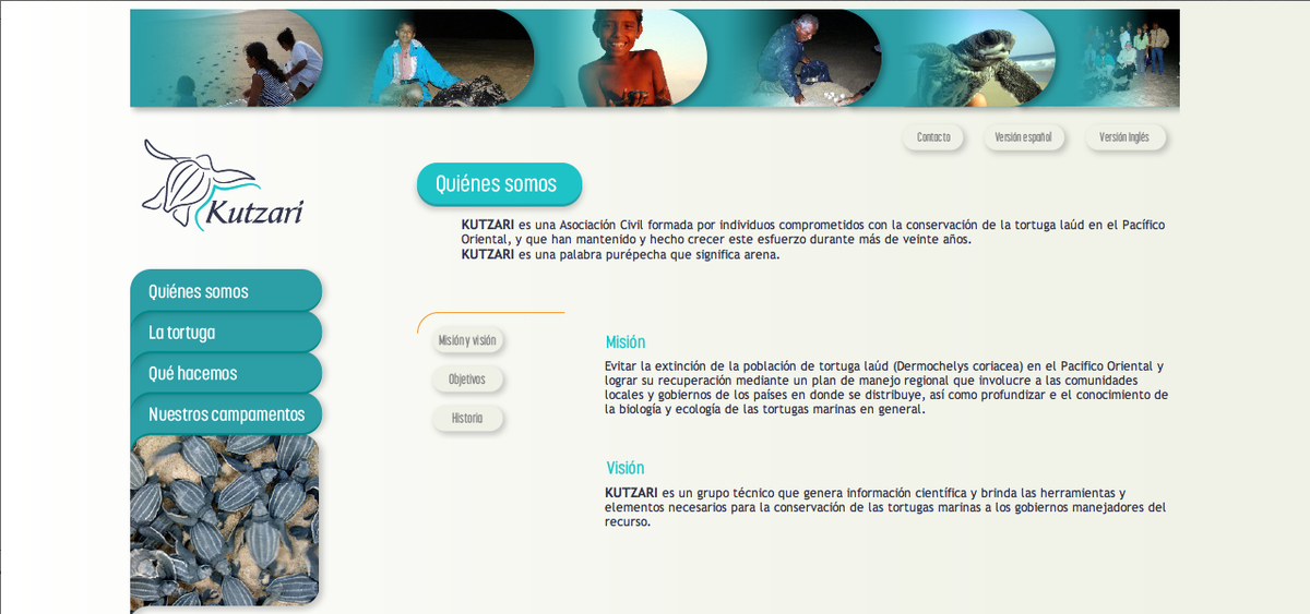 #turtles #tortugas #marinas