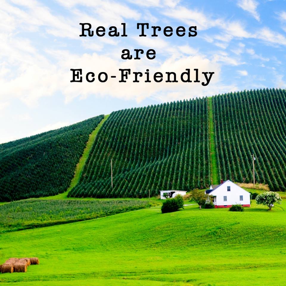 CTreesMagazine's tweet image. A fake Christmas tree supports China. Christmas trees grow where other crops can't--support US farmers and workers.