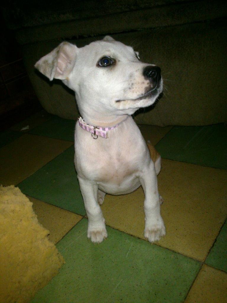 ferveintidos's tweet photo. Weeda <3 http://t.co/i61hBA3Ay9