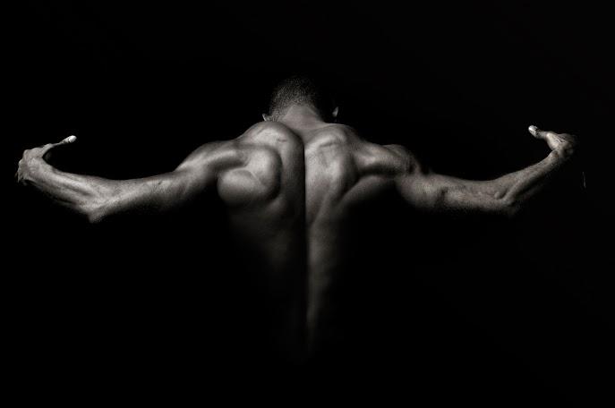 SystemaxProtein's tweet image. Building big backs brings out the beast. Systemax’s High Protein Low Carb Formula assists in building that V shape