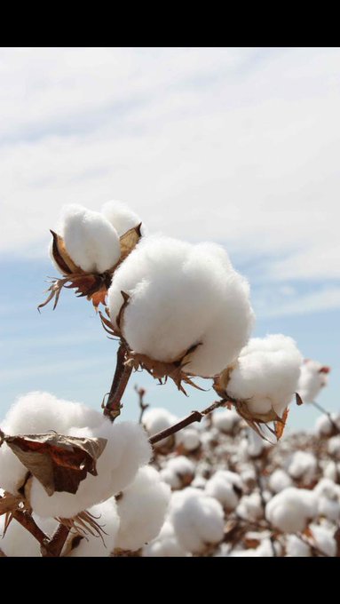 The "Only Black Kid in the School" starter pack 😯 http://t.co/z7tdkGvzPt<a href="/tag/firsttry"class="tags"><span>#firsttry</span></a>