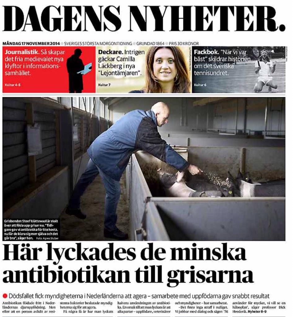 sdimander's tweet image. Hmm. @JannikeBK på @dagensnyheter NL halv ab-anv fr mkt hög nivå. Hur? gm att jobba s SE gjort (sic) sedan Hedenhös..