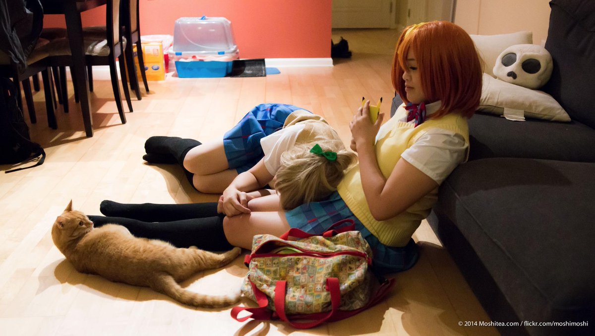 Milktea's tweet photo. #catstatus: staring at cosplayer (@Lanikiri)
#birdstatus: dead (@TeaTimedCos)
#benstatus: in a suit (@Aerathil) http://t.co/UyhkwX74cV