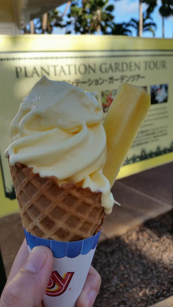 LeaderOfArgo's tweet photo. Pineapple Cone #DoleHawaii http://t.co/cLxyMDV31U