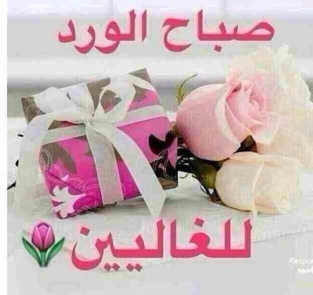 محمد  (@a86372606) on Twitter photo 