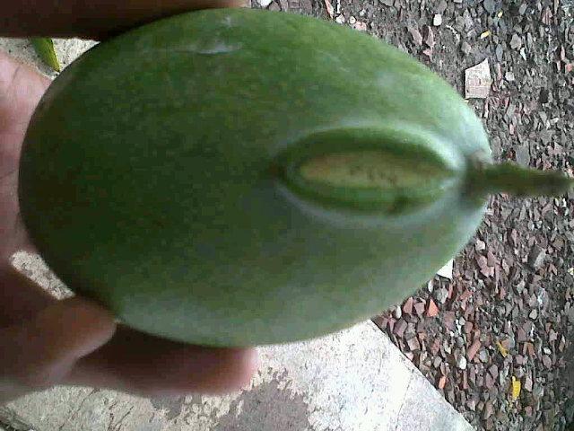 enchue's tweet photo. ManggA bermata 1 http://t.co/gQLm5PoKdf