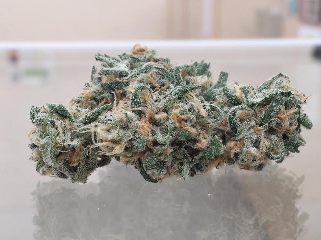 CITYHO420's tweet image. OH YEAH CALIFORNIA DREAM !!!