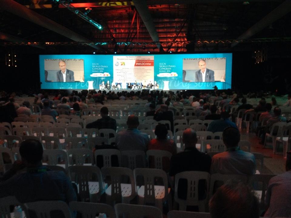 philfree7's tweet photo. Marco Lambertini @wwf_dg on stage @WPCSydney world leaders talk illegal wildlife trade #wpcpanda @WWF @WWF_Australia http://t.co/eac3PiRqA6