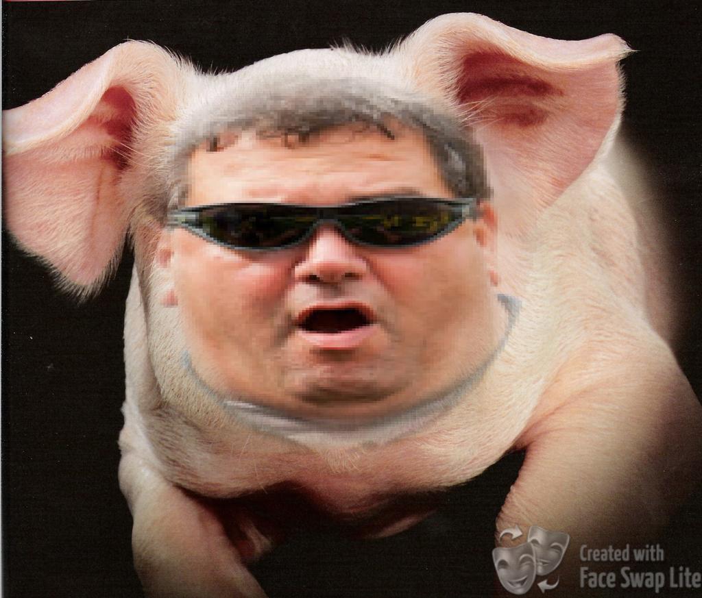 BrandonDudley82's tweet photo. BREAKING NEWS: Michigan names their stadium after their head coach Brady Hoke #ThePigHouse http://t.co/qccyDP1J73