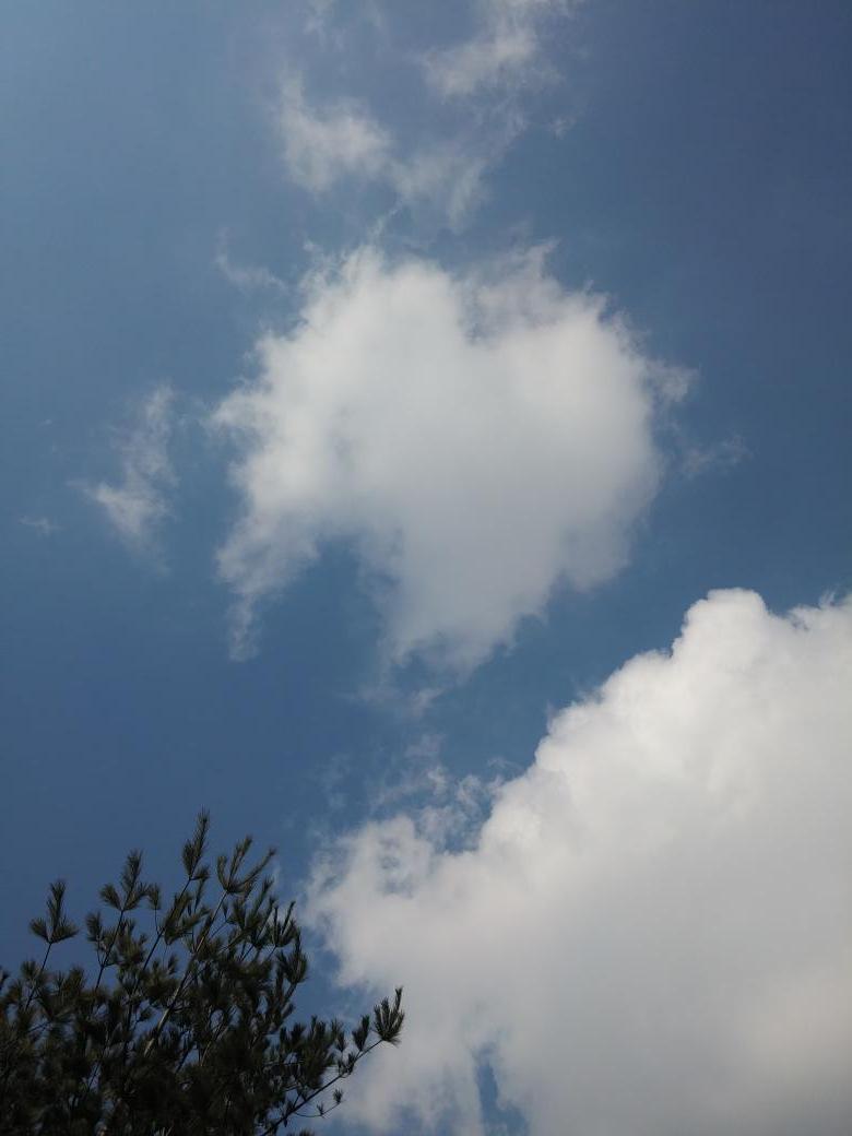 artlynjae's tweet photo. 망연해서 하늘을 본다.
그대 가시는 길에
번지는 저 구름은 
어찌하여 심장을 그려놓았는지.. http://t.co/cC1a4x1bDB