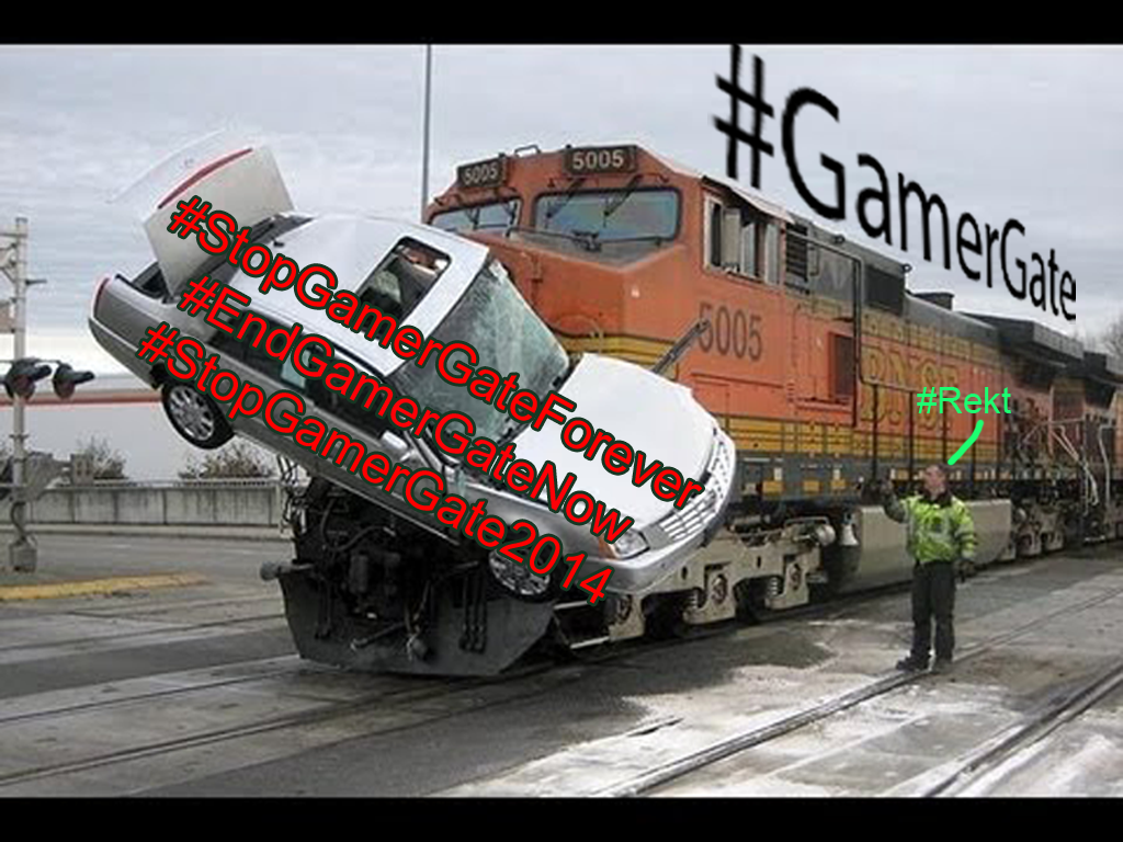 Atrial_Oak's tweet photo. #StopGamerGateForever #EndgamerGateNow #StopGamerGate2014 http://t.co/YVfnWRCRFu