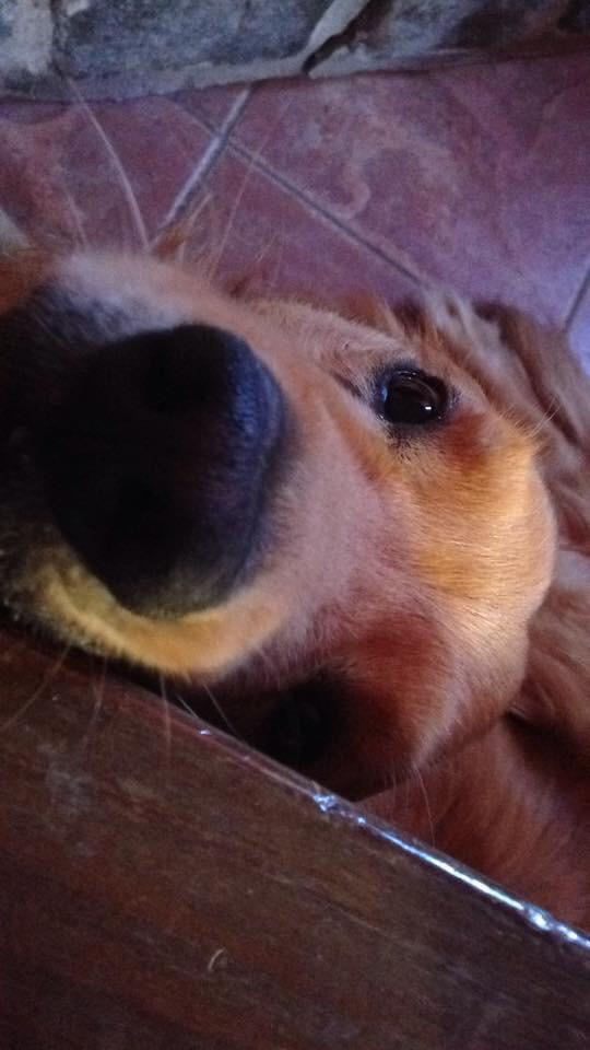 Florchus tweet media