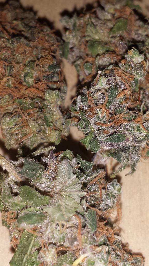 Potnonymous's tweet image. Hell-fucking-yes 
#AllMine