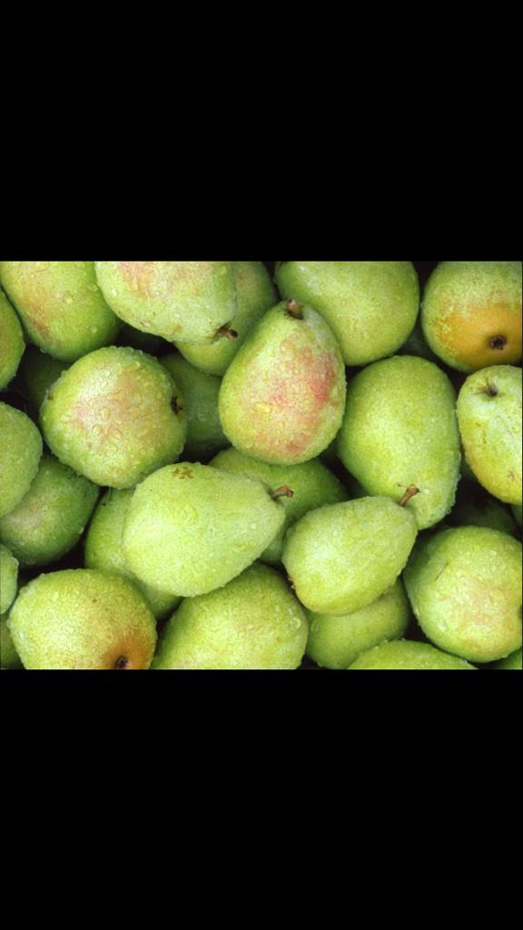 mayaaaahu's tweet photo. Shout out to all the pear http://t.co/60apfSPjaU