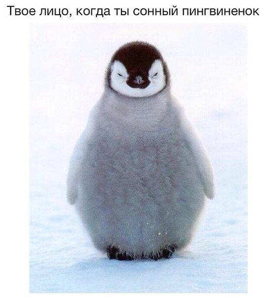 С добрым утром, дорогие!