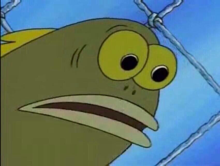 3o4talks's tweet photo. When you stalking someones Instagram and you accidentally like a pic from 140 weeks ago http://t.co/oK6n9GHRfI