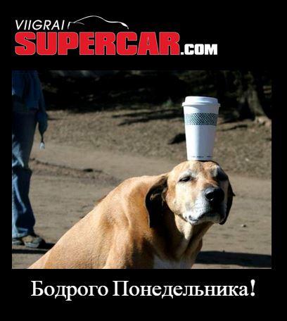 #Понедельник #Бодрогопонедельника #бодройнедели #отличнаянеделя #хорошегодня #ViigraisuperCar