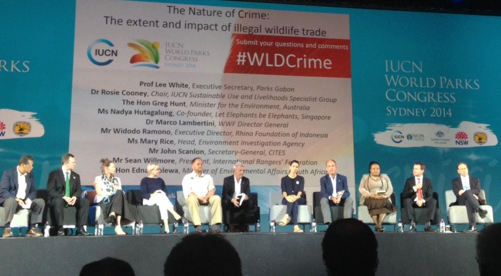 eber_sue's tweet photo. Panel for #WLDCrime covers 500 strong armed gangs 2 buyers of aphrodisiacs #WorldParksCongress http://t.co/iv1ZhpsGMb